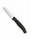 Victorinox - Spelucchino cm. 8